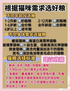 渴望低脂猫粮，帮猫咪健康减肥（猫咪减肥吃什么猫粮好）