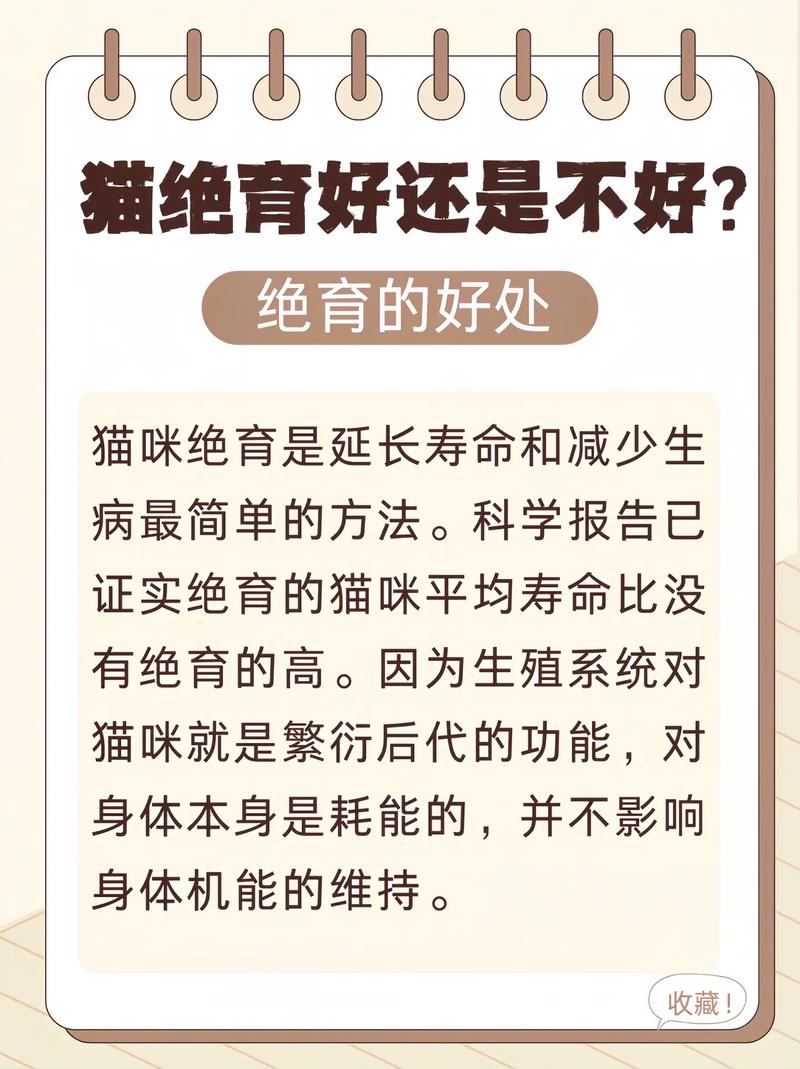 猫咪节育好处多,风险要注意(猫节育好还是不节育) 猫咪节育好处多,风险要注意(猫节育好还是不节育)