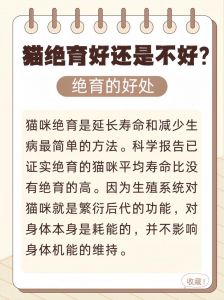 猫咪节育好处多，风险要注意（猫节育好还是不节育）