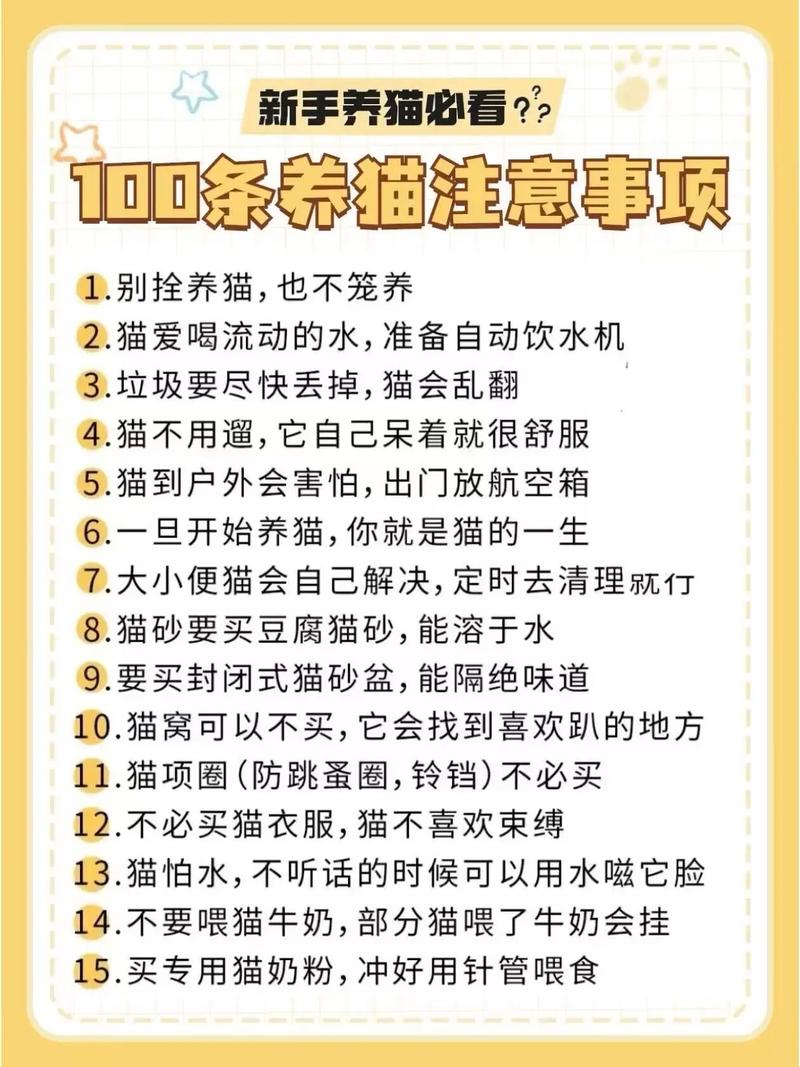 减压助眠,提升幸福感!(养猫有什么作用和好处) 减压助眠,提升幸福感!(养猫有什么作用和好处)