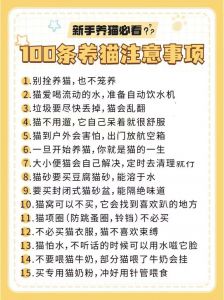 减压助眠，提升幸福感！（养猫有什么作用和好处）