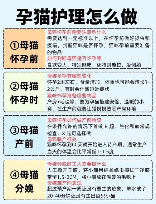 孕妇别吃猫肉,风险大!(孕妇吃猫肉的好处) 孕妇别吃猫肉,风险大!(孕妇吃猫肉的好处)