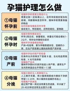 孕妇别吃猫肉，风险大！（孕妇吃猫肉的好处）