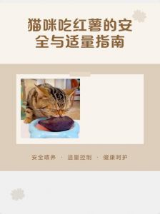 红薯可少量喂猫助通便，过量易不适，每周1-2次指甲盖大小（宠物猫能吃红薯吗）