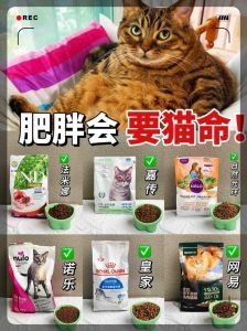 控制食量，平衡营养（胖猫一天吃几克猫粮）