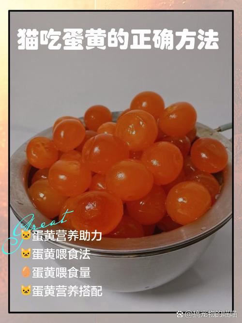 蛋黄对猫好但要注意量(猫猫吃蛋黄有什么好处) 蛋黄对猫好但要注意量(猫猫吃蛋黄有什么好处)