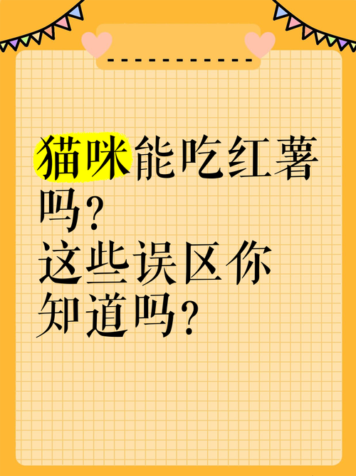 小猫可食番薯粉？注意适量防风险！（小猫能吃番薯粉吗）
