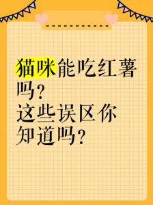小猫可食番薯粉？注意适量防风险！（小猫能吃番薯粉吗）