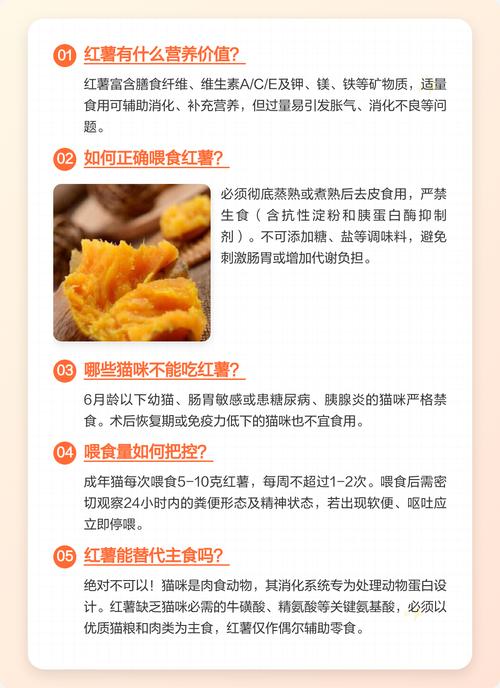 红薯能喂猫吗?少量煮熟当零食(猫咪吃不吃红薯) 红薯能喂猫吗?少量煮熟当零食(猫咪吃不吃红薯)