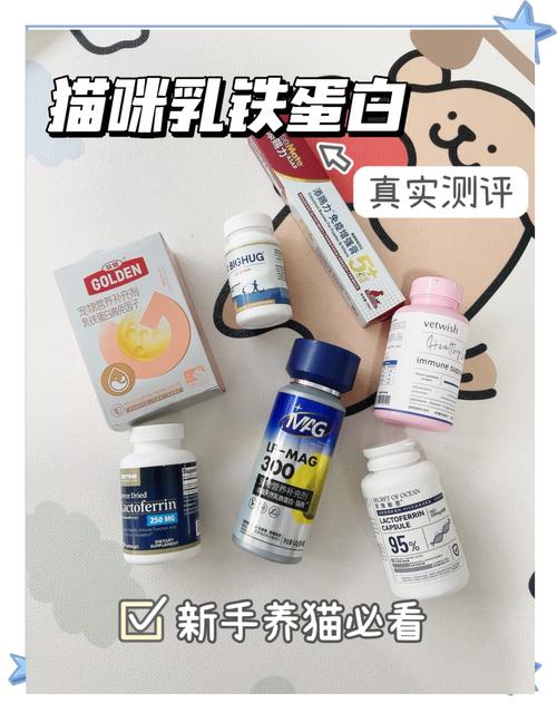 增强猫咪免疫力,促进消化健康(小猫吃的乳铁蛋白是什么作用) 增强猫咪免疫力,促进消化健康(小猫吃的乳铁蛋白是什么作用)