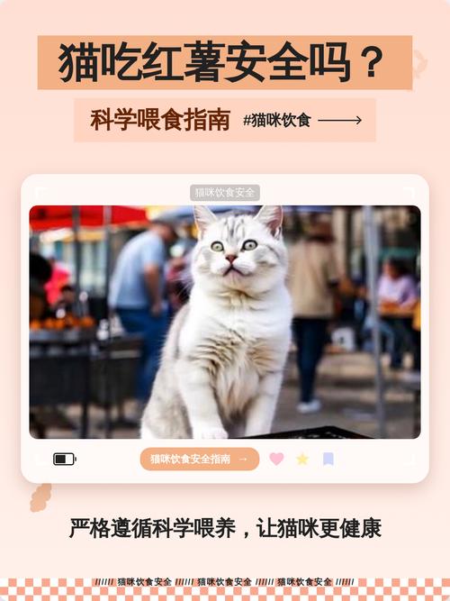 红薯水偶尔喂猫好,但别多,煮熟无皮量要少(猫长期喝红薯水好吗) 红薯水偶尔喂猫好,但别多,煮熟无皮量要少(猫长期喝红薯水好吗)