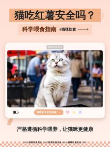 红薯水偶尔喂猫好，但别多，煮熟无皮量要少（猫长期喝红薯水好吗）