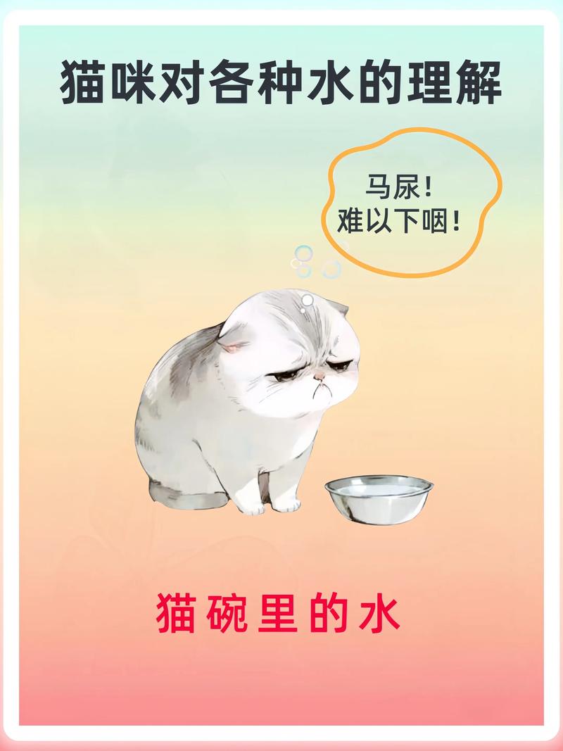 红薯水养猫好?适量喂,幼猫勿食!(猫喝红薯水的功效与作用) 红薯水养猫好?适量喂,幼猫勿食!(猫喝红薯水的功效与作用)