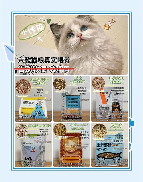 布偶猫吃普通猫粮?选对更健康!(布偶猫普通猫粮能吃吗) 布偶猫吃普通猫粮?选对更健康!(布偶猫普通猫粮能吃吗)