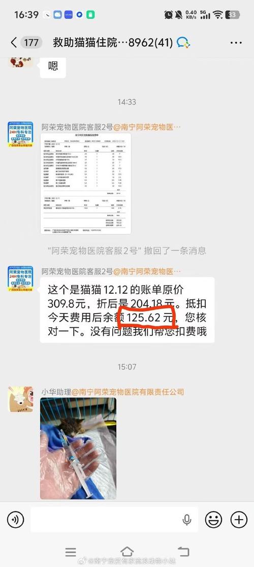 LVG退役引猜测,或转向商业代言(lvg猫什么时候退役的) LVG退役引猜测,或转向商业代言(lvg猫什么时候退役的)