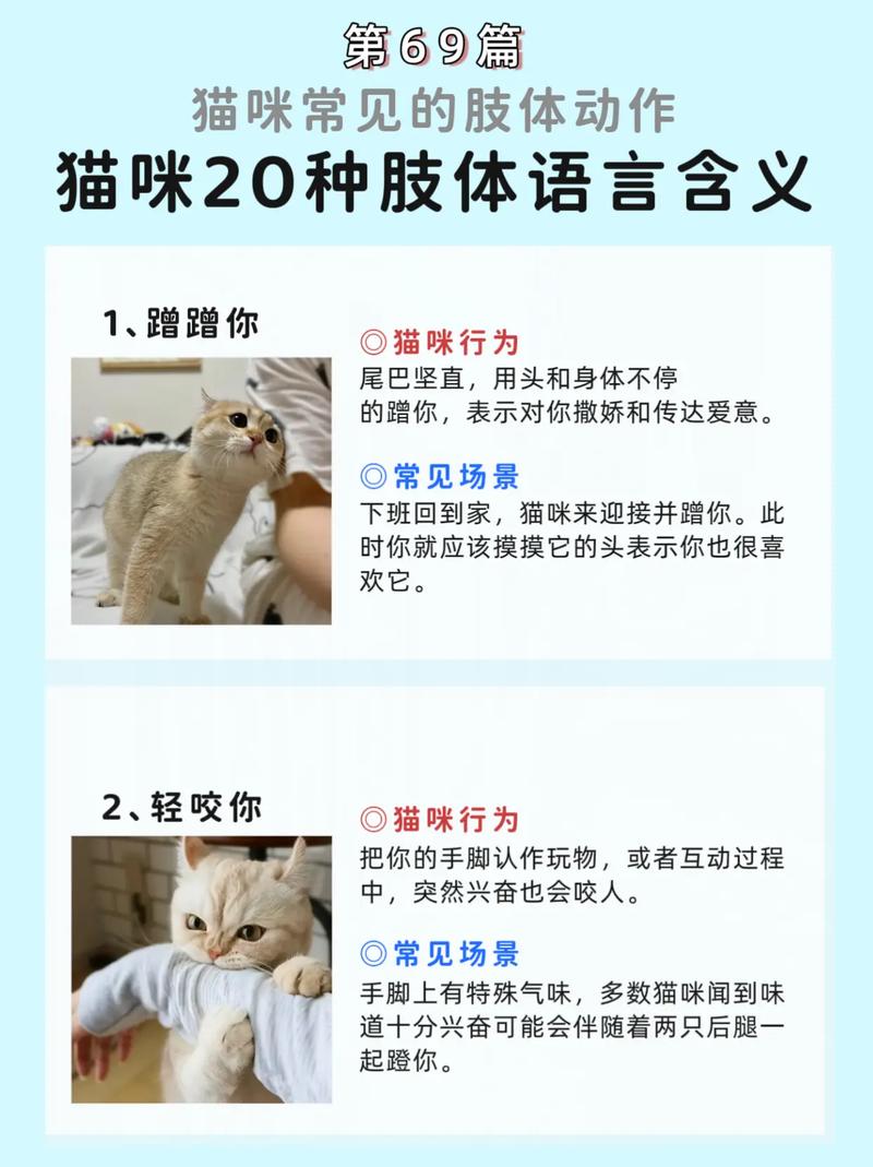 咕噜撒娇喵呜抗议(猫咪语言大全) 咕噜撒娇喵呜抗议(猫咪语言大全)