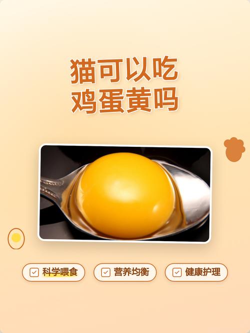 鸡蛋喂猫利弊知多少?(猫吃鸡蛋的危害和坏处) 鸡蛋喂猫利弊知多少?(猫吃鸡蛋的危害和坏处)