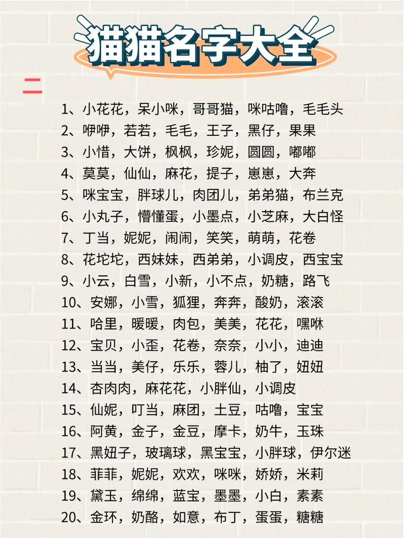 100个猫咪名字创意,性格外貌都适用(宠物猫取名100个) 100个猫咪名字创意,性格外貌都适用(宠物猫取名100个)