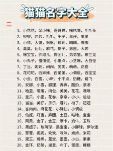 100个猫咪名字创意，性格外貌都适用（宠物猫取名100个）