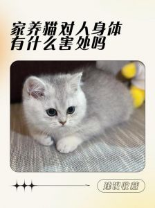 健康风险与过敏问题（养猫的危害）