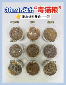猫咪换粮要慢点，别直接换，用七日法，加益生菌！（猫咪换猫粮了多久能看见效果）