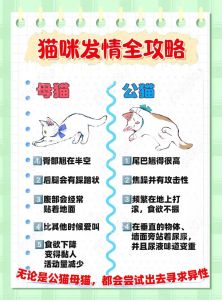 绝育猫好处多，健康长寿更亲近（猫咪绝育后会有好处或坏处吗）