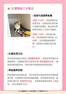 红薯干不适合肠胃敏感猫，偶尔少量给，优先喂鸡胸肉西兰花（猫能吃红薯干吗）