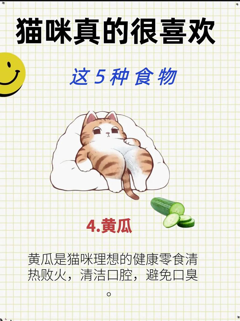 小猫爱吃黄瓜?补水营养好,但适量为佳!(小猫吃黄瓜有什么好处) 小猫爱吃黄瓜?补水营养好,但适量为佳!(小猫吃黄瓜有什么好处)
