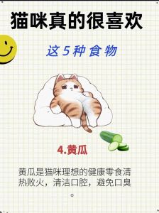 小猫爱吃黄瓜？补水营养好，但适量为佳！（小猫吃黄瓜有什么好处）