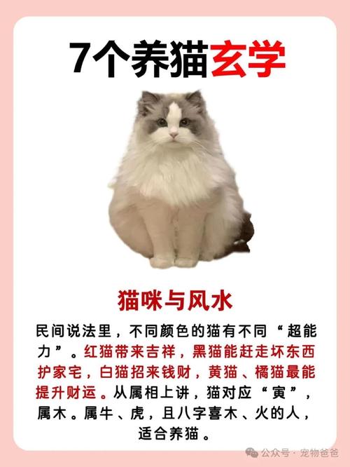 招鬼还是辟邪?猫的神秘民间传说(猫是招鬼还是辟邪的) 招鬼还是辟邪?猫的神秘民间传说(猫是招鬼还是辟邪的)