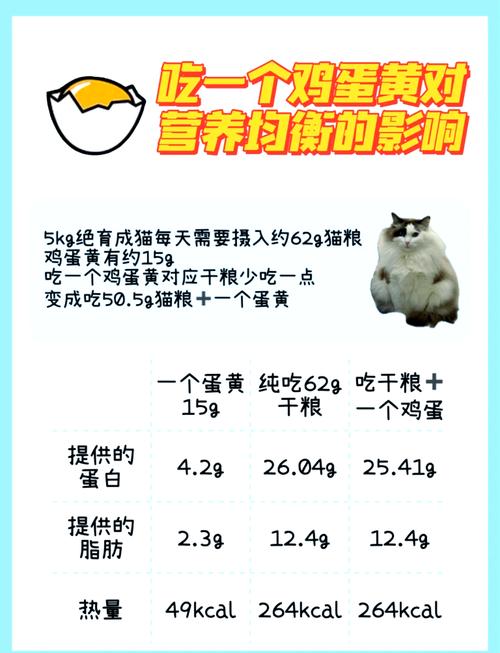蛋黄养猫好,润毛壮免疫,适量煮熟给辅食(布偶猫经常吃蛋黄有什么好处) 蛋黄养猫好,润毛壮免疫,适量煮熟给辅食(布偶猫经常吃蛋黄有什么好处)