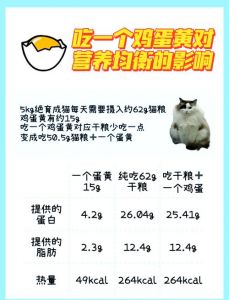 蛋黄养猫好，润毛壮免疫，适量煮熟给辅食（布偶猫经常吃蛋黄有什么好处）