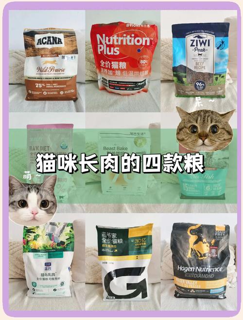 选对增肥猫粮，助猫咪健康增重（增肥猫粮哪一种好）