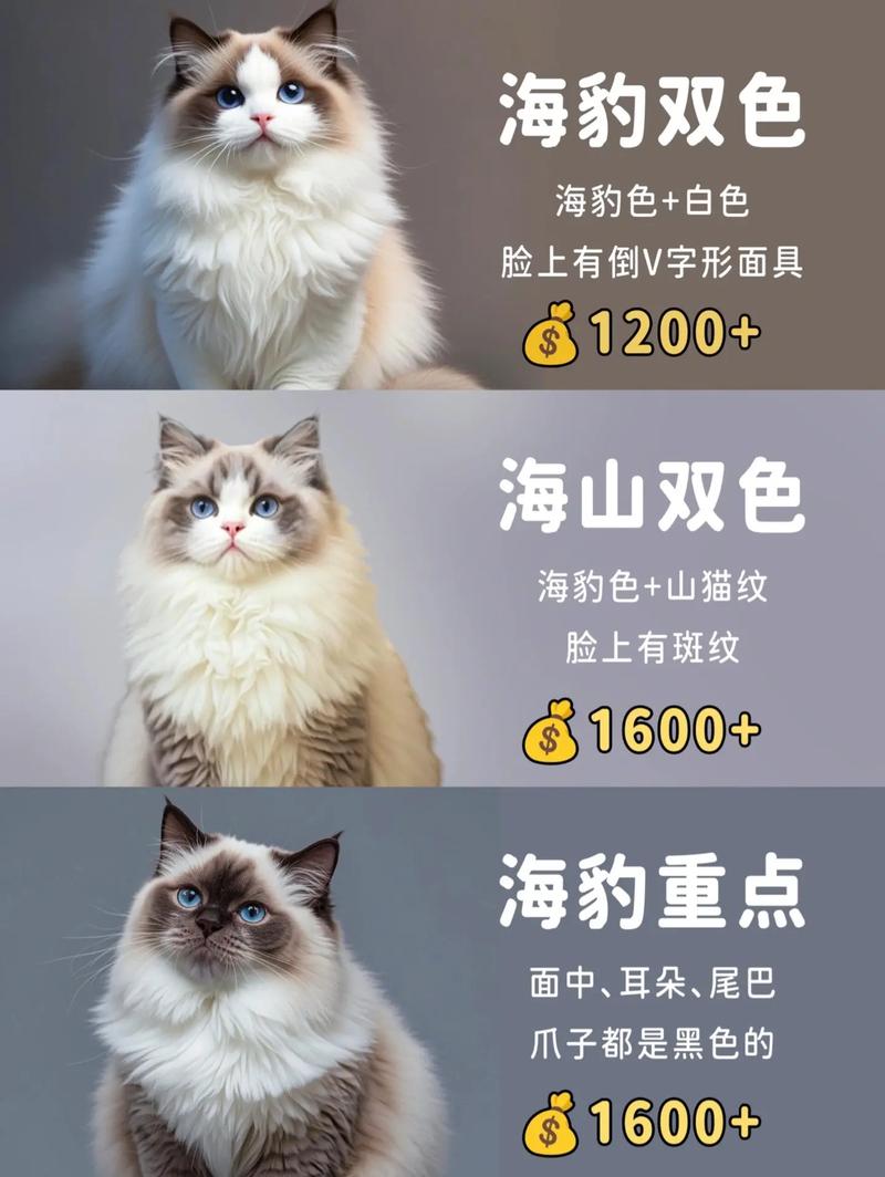 体重标准与饲养(一只布偶猫体重多少) 体重标准与饲养(一只布偶猫体重多少)