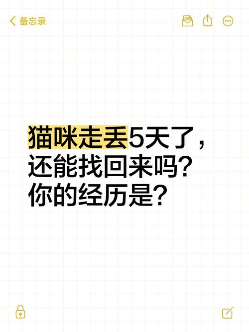 走失猫咪如何回家?实用寻猫指南(公猫走丢了会自己回来吗) 走失猫咪如何回家?实用寻猫指南(公猫走丢了会自己回来吗)