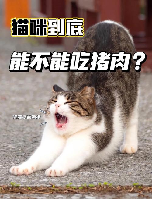 猫咪爱生肉?选对食物更健康!(猫咪吃生肉的好处和坏处) 猫咪爱生肉?选对食物更健康!(猫咪吃生肉的好处和坏处)