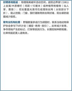 怕水怕狗，科学防治更有效（怎么样驱赶野猫）