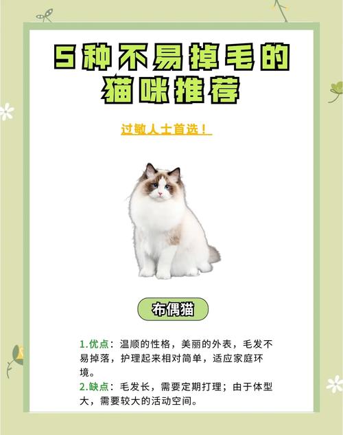 暹罗德文斯芬克斯猫咪特点介绍(什么猫聪明听话又好养还不掉毛) 暹罗德文斯芬克斯猫咪特点介绍(什么猫聪明听话又好养还不掉毛)
