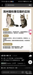 体型性格大不同（简州猫和狸花猫的区别）