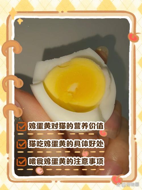 营养好,要煮熟少喂!(小猫吃鸡蛋黄的好处) 营养好,要煮熟少喂!(小猫吃鸡蛋黄的好处)