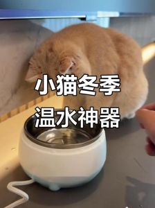 酸奶机没水会爆炸？做酸奶水要加够，闲置还能变饮水机！（猫咪用的酸奶机没水了会爆炸吗）