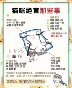 看痕迹耳朵发情和体重（怎么看猫有没有绝育）