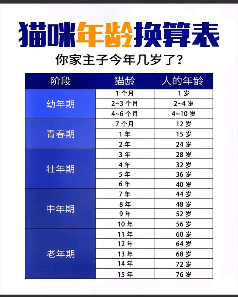 成年猫换主人,耐心养熟是关键(成年猫换主人养的熟吗) 成年猫换主人,耐心养熟是关键(成年猫换主人养的熟吗)