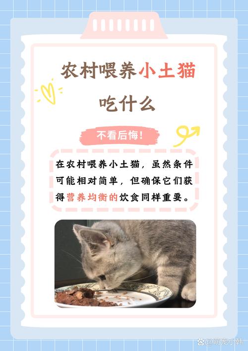 胡萝卜煮熟喂猫好,助视凝血又健康,每周一两次(小猫吃胡萝卜的好处) 胡萝卜煮熟喂猫好,助视凝血又健康,每周一两次(小猫吃胡萝卜的好处)