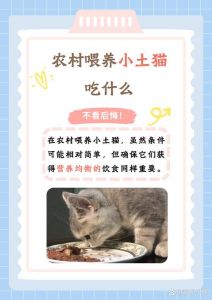胡萝卜煮熟喂猫好，助视凝血又健康，每周一两次（小猫吃胡萝卜的好处）