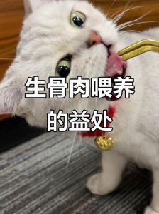 生骨肉喂猫有风险？科学喂养更安心！（猫咪吃生骨肉的好处和坏处）
