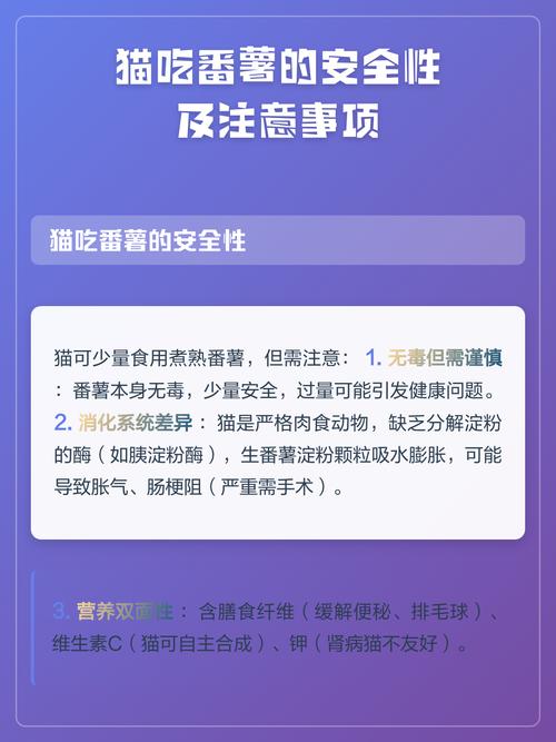 5个月猫可吃少量红薯助消化,但非主食(5月幼猫可以吃番薯吗) 5个月猫可吃少量红薯助消化,但非主食(5月幼猫可以吃番薯吗)