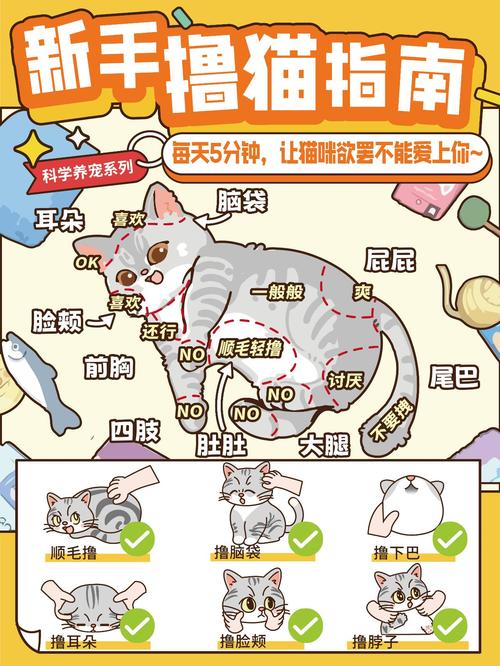 气味声音断食法(如何赶走野猫) 气味声音断食法(如何赶走野猫)