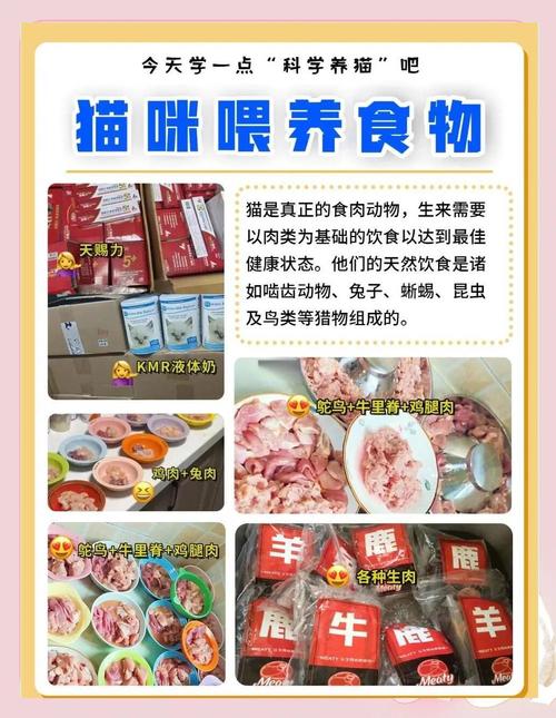 警惕!猫咪番薯干零食的潜在危害(猫猫能吃番薯干吗) 警惕!猫咪番薯干零食的潜在危害(猫猫能吃番薯干吗)