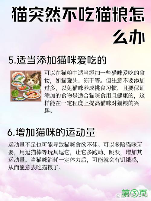 猫咪几天不吃不喝?主人别大意!(猫突然几天不进食了) 猫咪几天不吃不喝?主人别大意!(猫突然几天不进食了)
